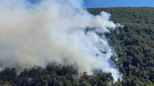 Continúan los trabajos en el Nahuel Huapi para detener las llamas