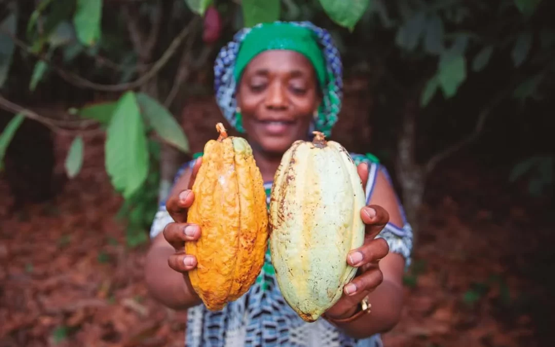 El cambio climático empeora la alimentación, la salud y la economía en América Latina y el Caribe.