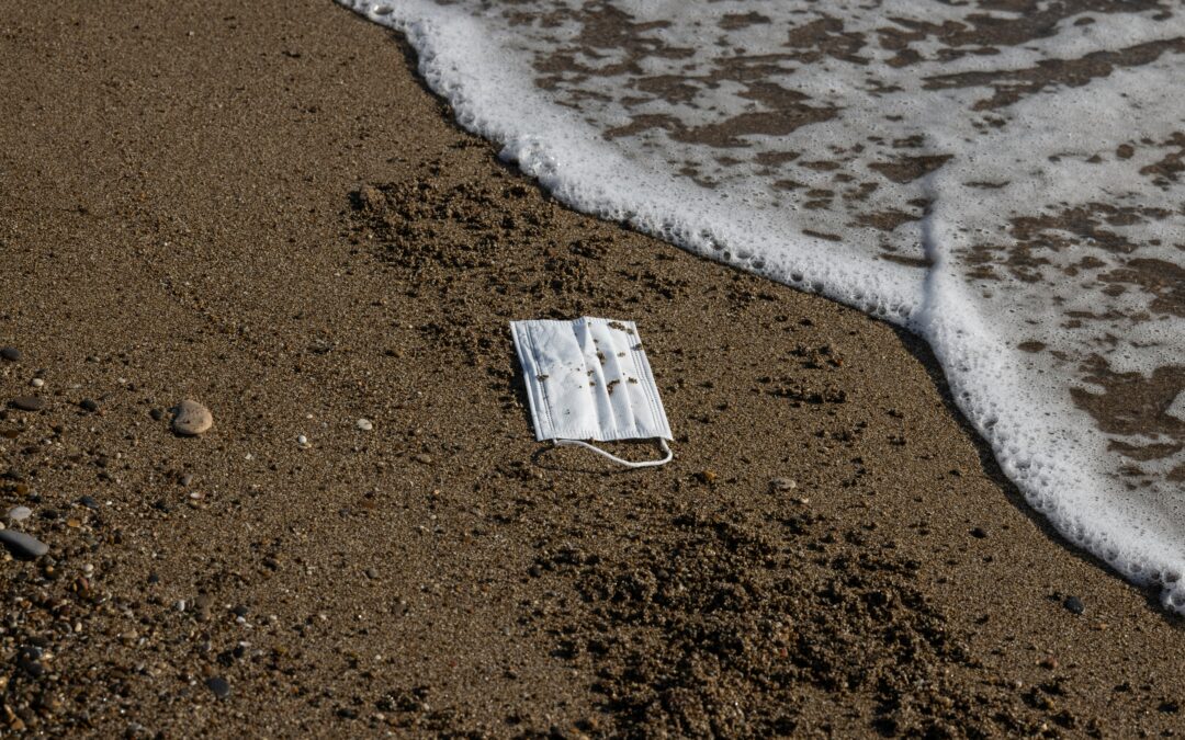 Realizan una campaña de limpieza en Mar del Plata y los activistas cuestionan su intencionalidad.