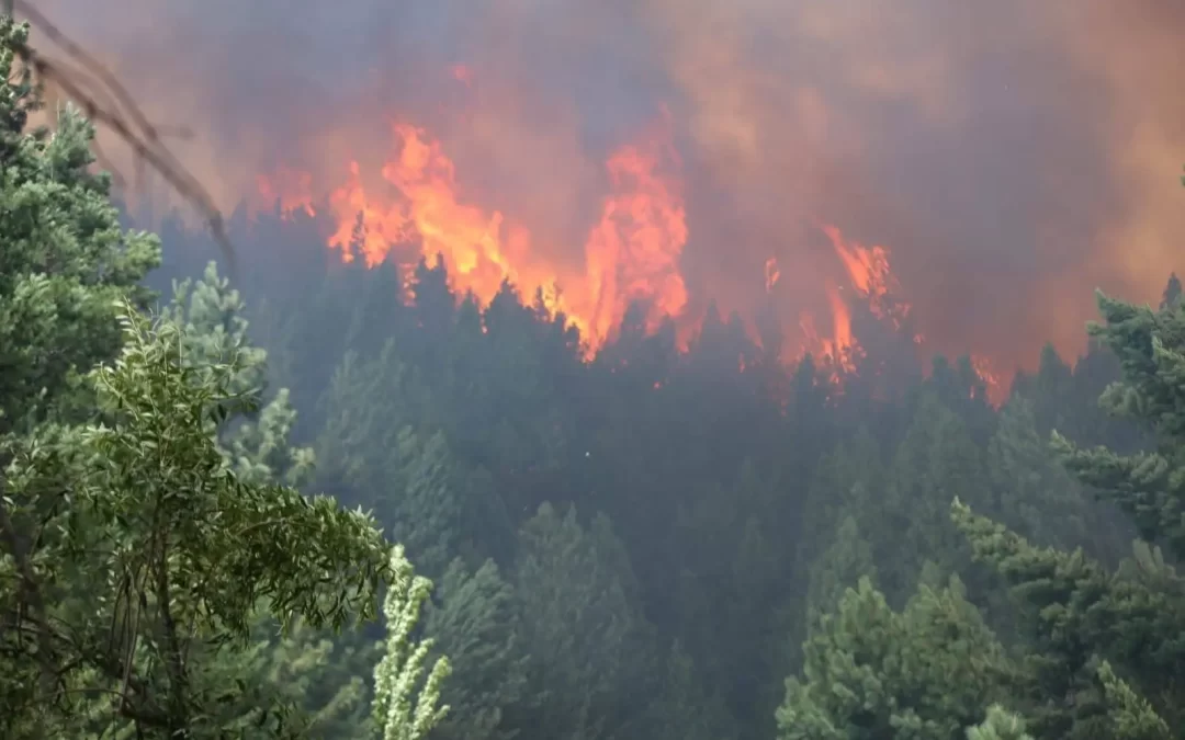 Evacuaron Epuyén por los incendios forestales