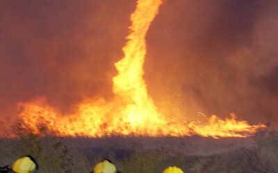 Temor por posibles tornados de fuego en California