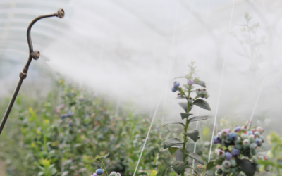 Los plaguicidas son culpables de la crisis de biodiversidad