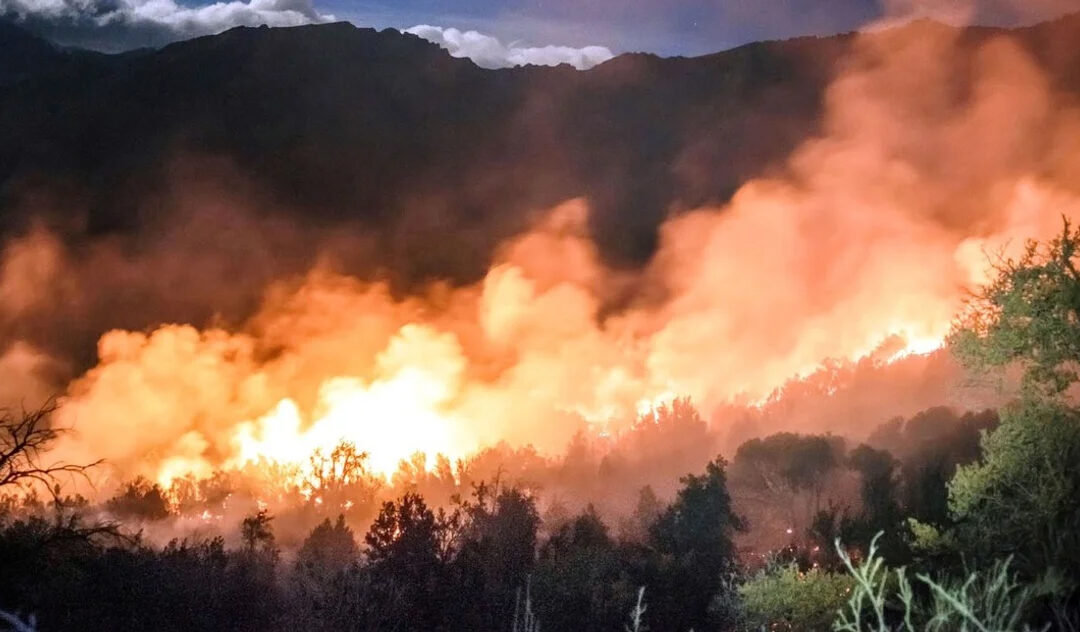 Denuncian irregularidades en el tratamiento de los incendios en Argentina