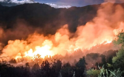 Denuncian irregularidades en el tratamiento de los incendios en Argentina