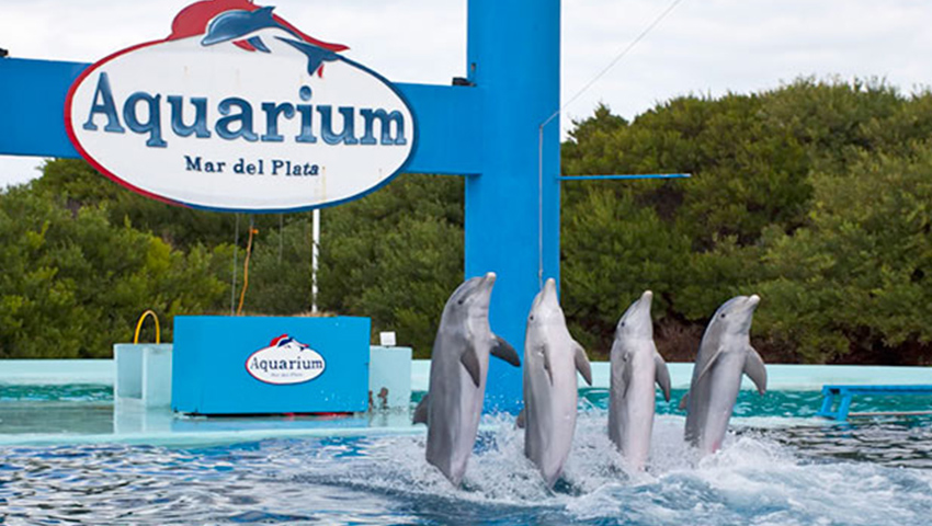 El parque acuático de Mar del Plata cerrará sus puertas en abril.