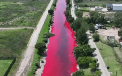 Un arroyo en avellaneda se tiñó de color rojo