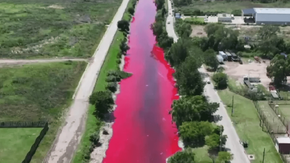 Un arroyo en avellaneda se tiñó de color rojo