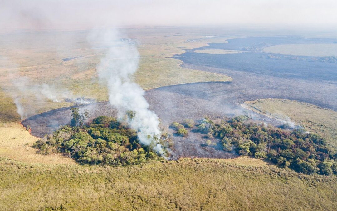 Corrientes: calculan que las pérdidas por los incendios superan los $ 26.000 millones.