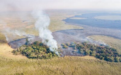 Calculan las hectáreas perdidas en Corrientes por los incendios