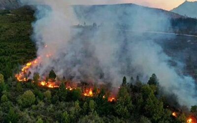 Buscan agravar las penas de quienes provoquen incendios