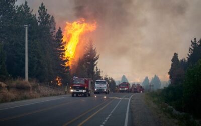 Rio Negro busca trabajar con Estados Unidos en su lucha contra los incendios forestales