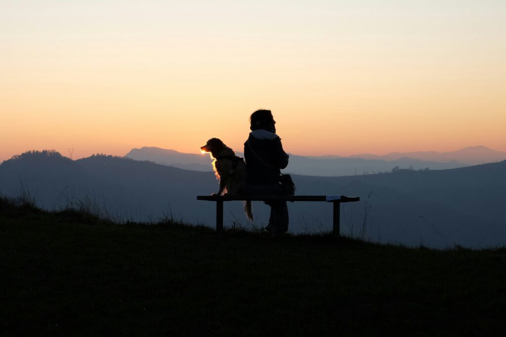 Los perros no disfrutan de muchas de las actividades que son placenteras entre humanos. 
