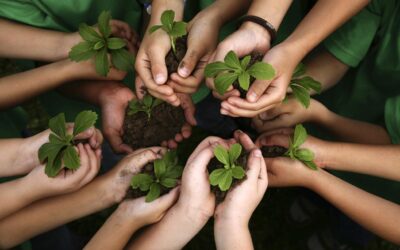 La percepción de los argentinos sobre las políticas ecológicas