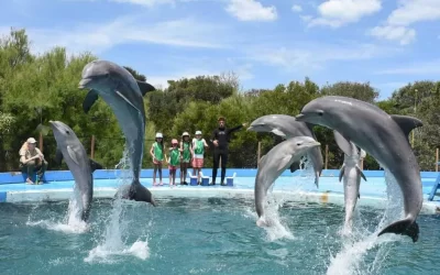 Continúa la preocupación por el destino de los animales del Aquarium de Mar del Plata