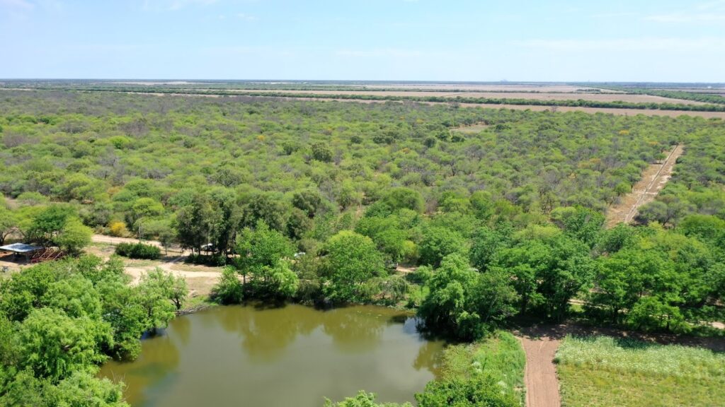 Gran Chaco Americano: Región clave de desarrollo y biodiversidad.