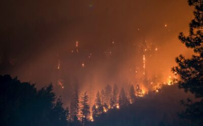 Utilizan modelos de IA para predecir incendios forestales causados por rayos