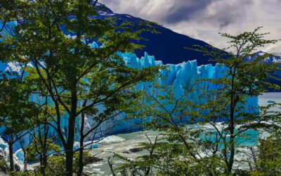 UNESCO lanza becas para jóvenes investigadores en Argentina