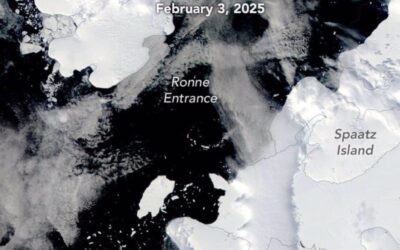 El desprendimiento de un iceberg gigante reveló la existencia de especies desconocidas