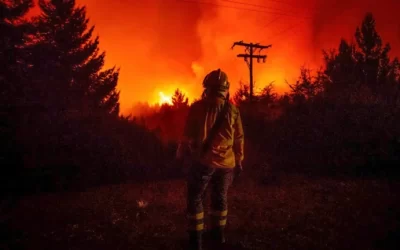Documentan las hectáreas arrasadas por el fuego en la Patagonia