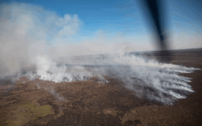 Hay avances en el juicio por los incendios en el Delta del Paraná