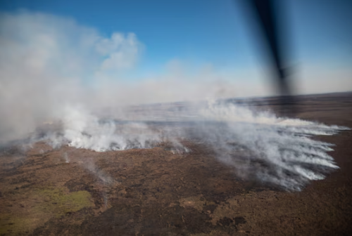Los incendios del 2022 arrasaron con más de 6.000 hectáreas.