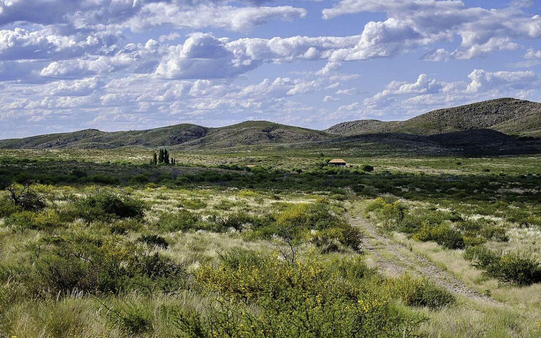 La Pampa asume nuevos compromisos contra el cambio climático.
