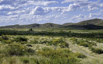 Aprueban novedosa iniciativa contra el cambio climático en La Pampa