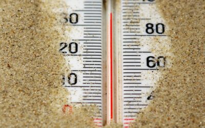 Los fenómenos extremos limitan la capacidad de los ecosistemas para actuar como sumideros de carbono