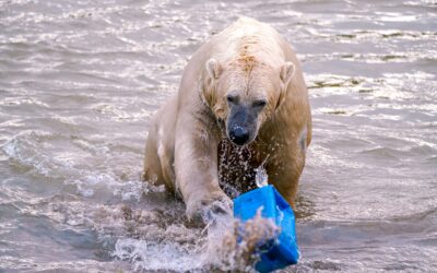 Denuncian que el cambio climático ya tiene consecuencias irreversibles