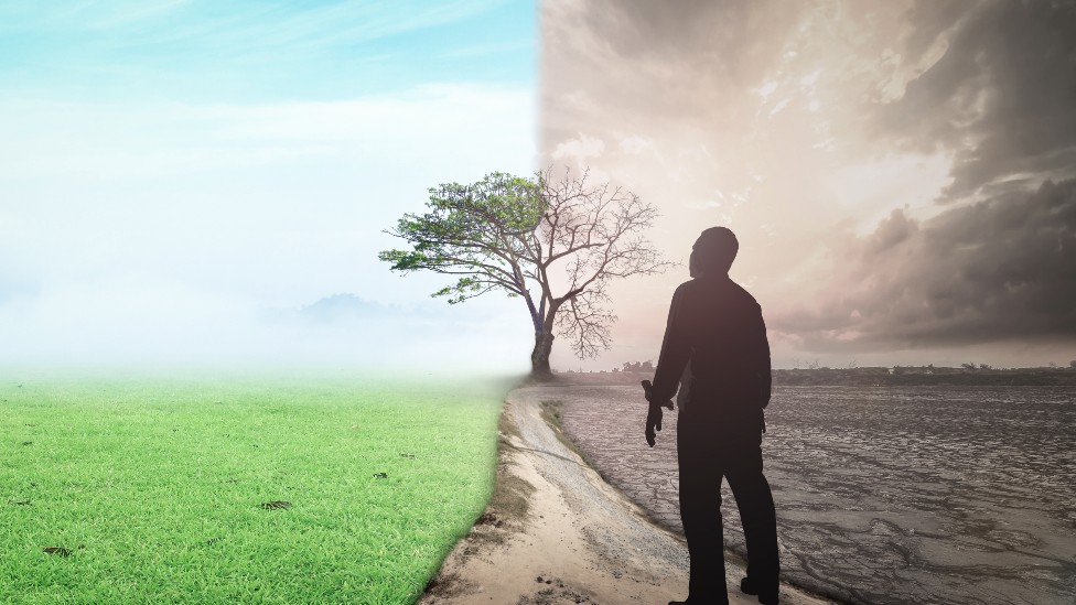 Estudio advierte sobre el riesgo del avance realizado por el cambio climático.
