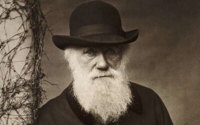 Se abre un nuevo debate sobre la teoría de Darwin tras un descubrimiento