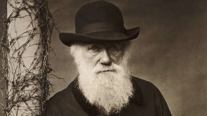Hallan un fenómeno evolutivo en lombrices que desafía la teoría de Darwin.