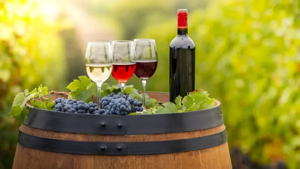 El vino orgánico argentino crece a pese a la caída del consumo global del vino tradicional.