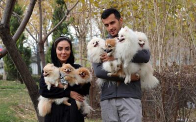 Nuevos territorios de Irán se suman a las prohibiciones contra los perros