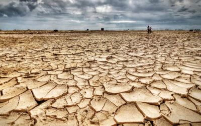 La OMS advierte que la emergencia climática aumenta la crisis de salud