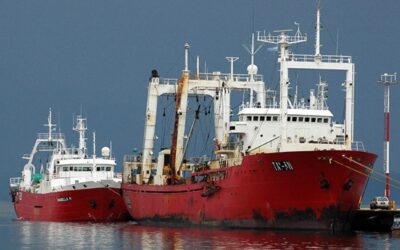 Un pesquero chino pide cuota de merluza negra en el Mar Argentino