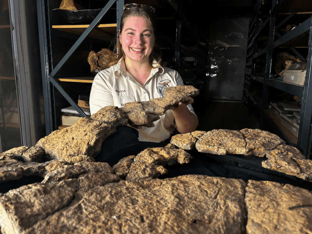 Intestino fosilizado de un dinosaurio revela lo que masticaban.