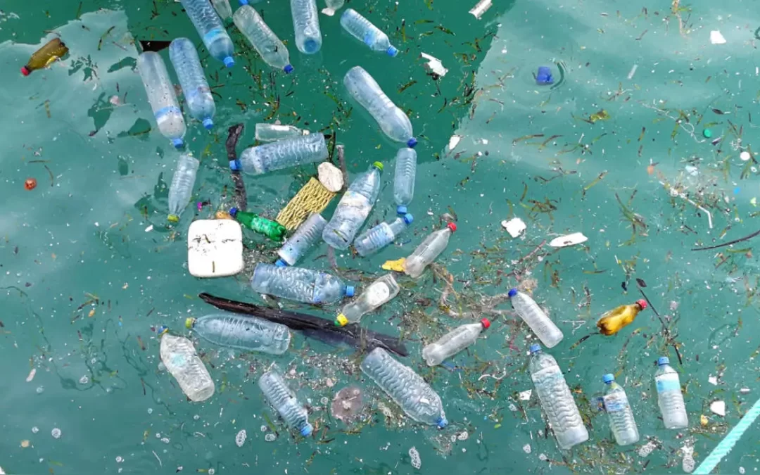 América Central, la región que se vio más afectada por contaminación de botellas plásticas.