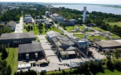 Denuncian nuevas evidencias de contaminación de la empresa Atanor