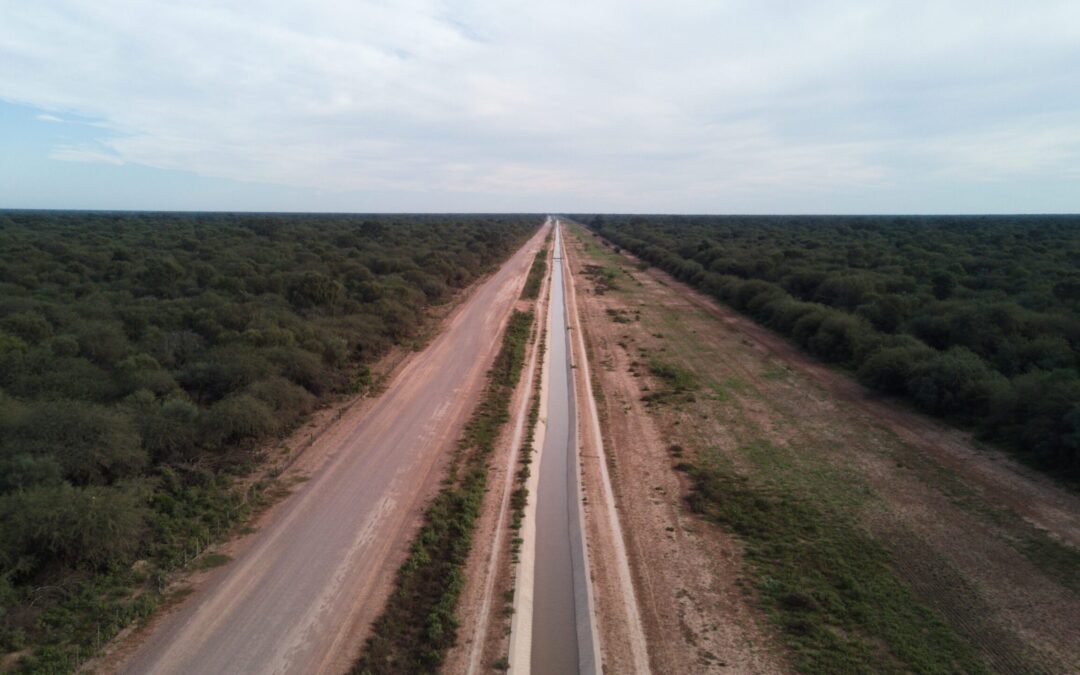 Organizaciones ambientales demandan al Gobierno ante la Corte Suprema por daño ambiental.