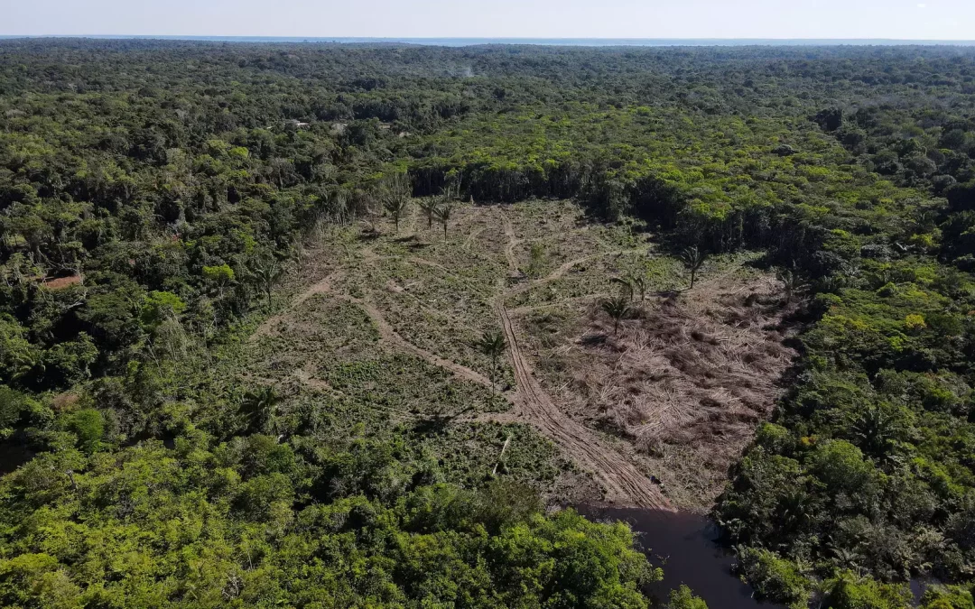 Radiografía de la Amazonía de cara a la COP30.