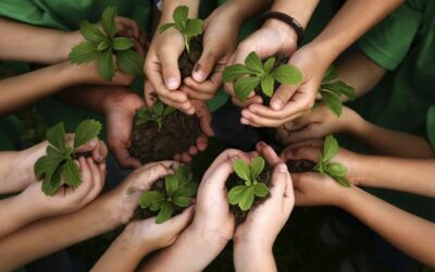 Buscan fortalecer la conservación en Misiones