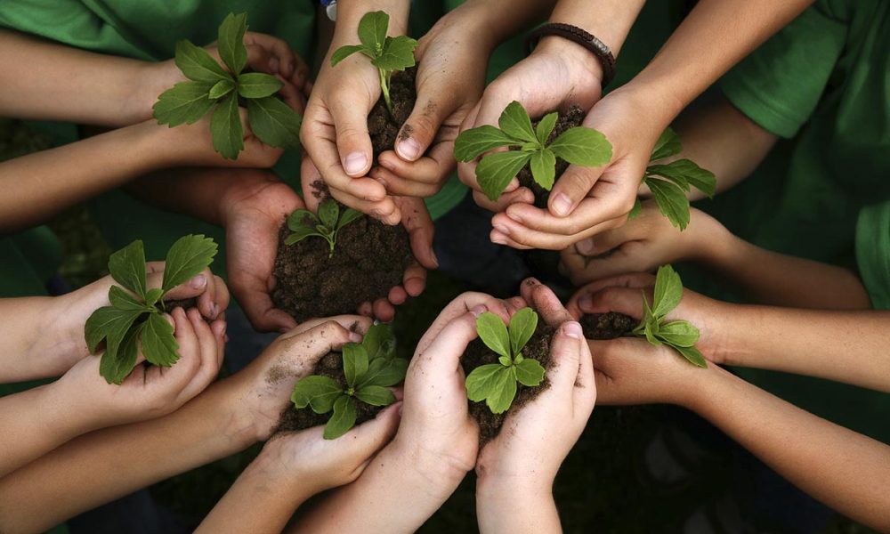 Buscan fortalecer la conservación en Misiones