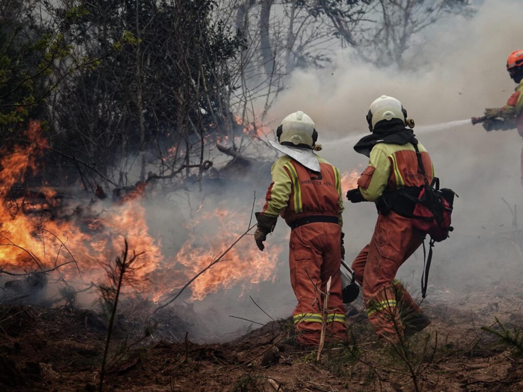 El 96% de los incendios en España es causado por la acción del ser humano.