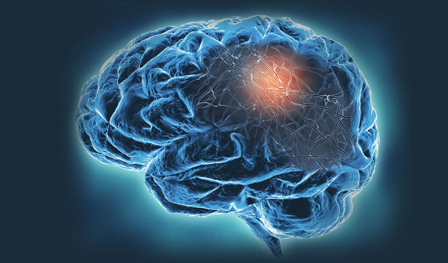 Científicos del CONICET reciben un importante subsidio internacional para investigar sobre el Alzheimer.