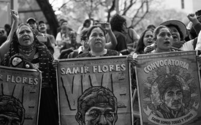 Peligra la situación de los defensores ambientales en Latinoamérica