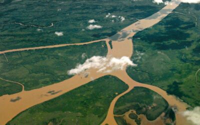 Firman un convenio para la conservación del Delta del Paraná