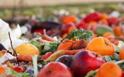Analizan la problemática del desperdicio de alimentos en Latinoamérica
