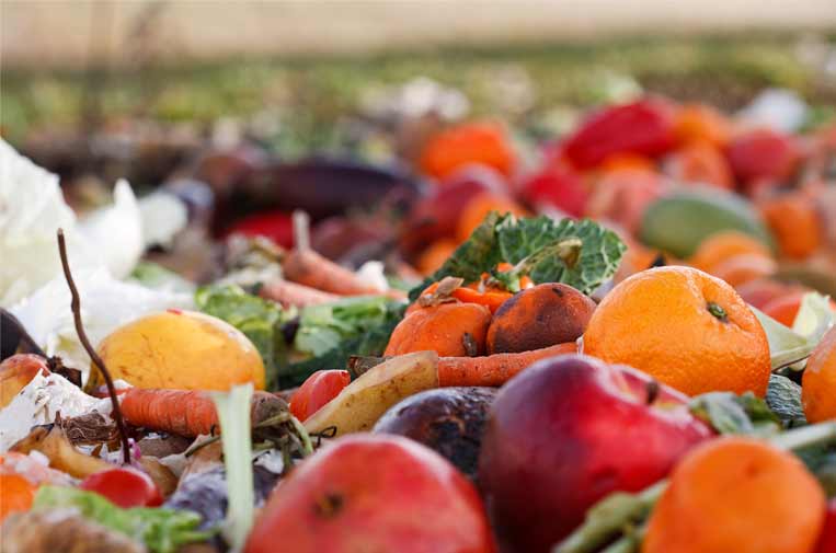Analizan la problemática del desperdicio de alimentos en Latinoamérica