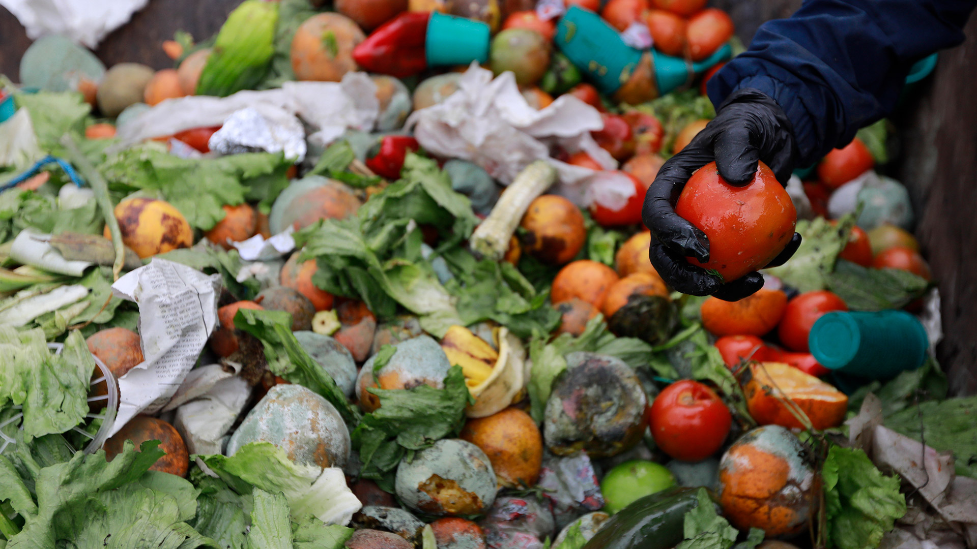 Analizan la problemática de desperdicio de alimentos que atraviesa Latinoamérica.
